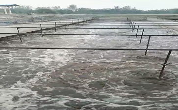 污水处理厂