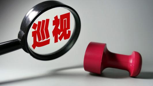 中央巡视